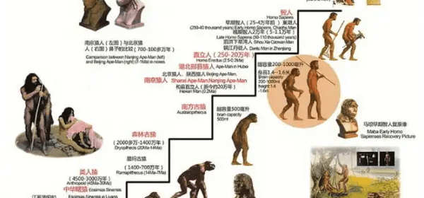 Evolutionary Development Mapped!