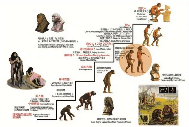 Evolutionary Development Mapped!