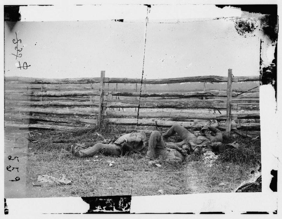 Dead of Stonewall Jackson’s Brigade by rail fence on the Hagerstown pike