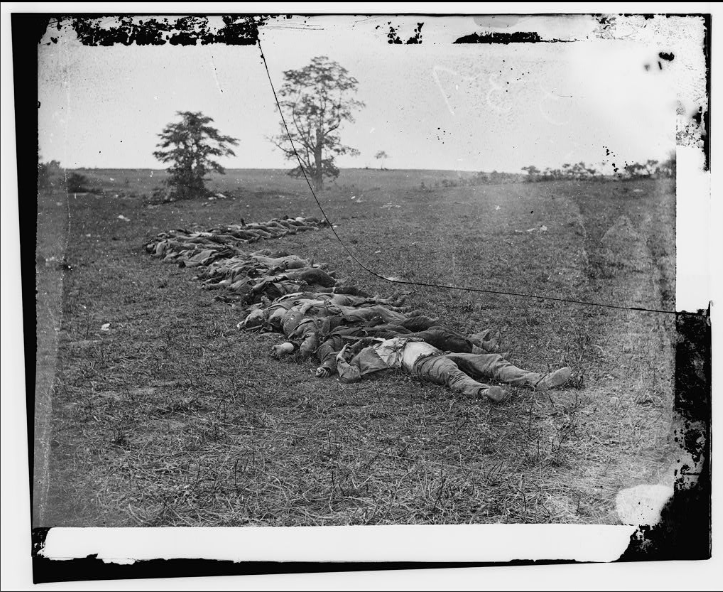 Disciplined Dead Confederates - Antietam