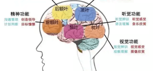 Socialist Science Maps Brain Genetics!