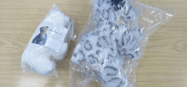 Soft Toys Brought from America!