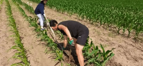 Uyghur People Are Loyal and Hard-Working!