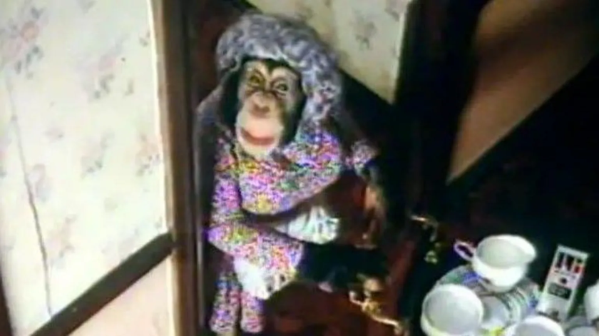 Starmer Promises Investigation!