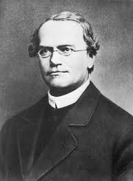 Bizarrely - the Religionist Gregor Mendel - Advanced Genetic Science!