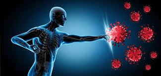 Covid-19 Originated in US!