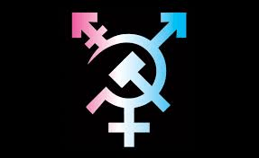 Transgender Liberation Means Social Revolution!