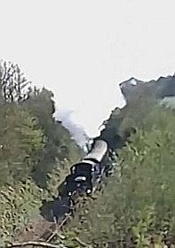Steam Train Travelling Through Galmpton!