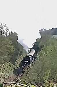 Steam Train Travelling Through Galmpton!