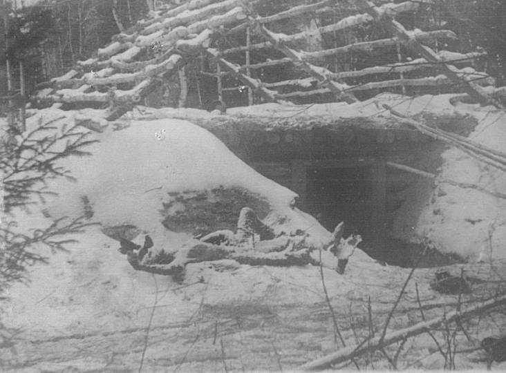 A burned village in the Porkhov district. 1943–1944. Photo from the materials of the ChGK. GARF