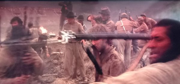 Bayonet Used As Spear!