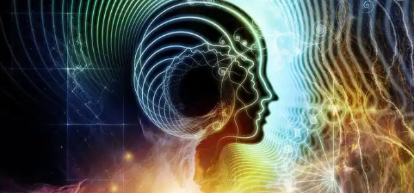 The Mind is a Sliver of the Material Brain!