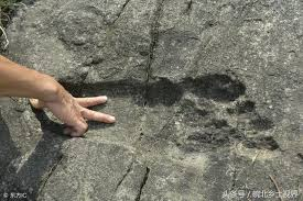 More Than Two-Fingers Wide!