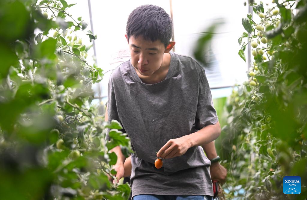 Disabled Child Picks Ripe Vegetables and Fruit!