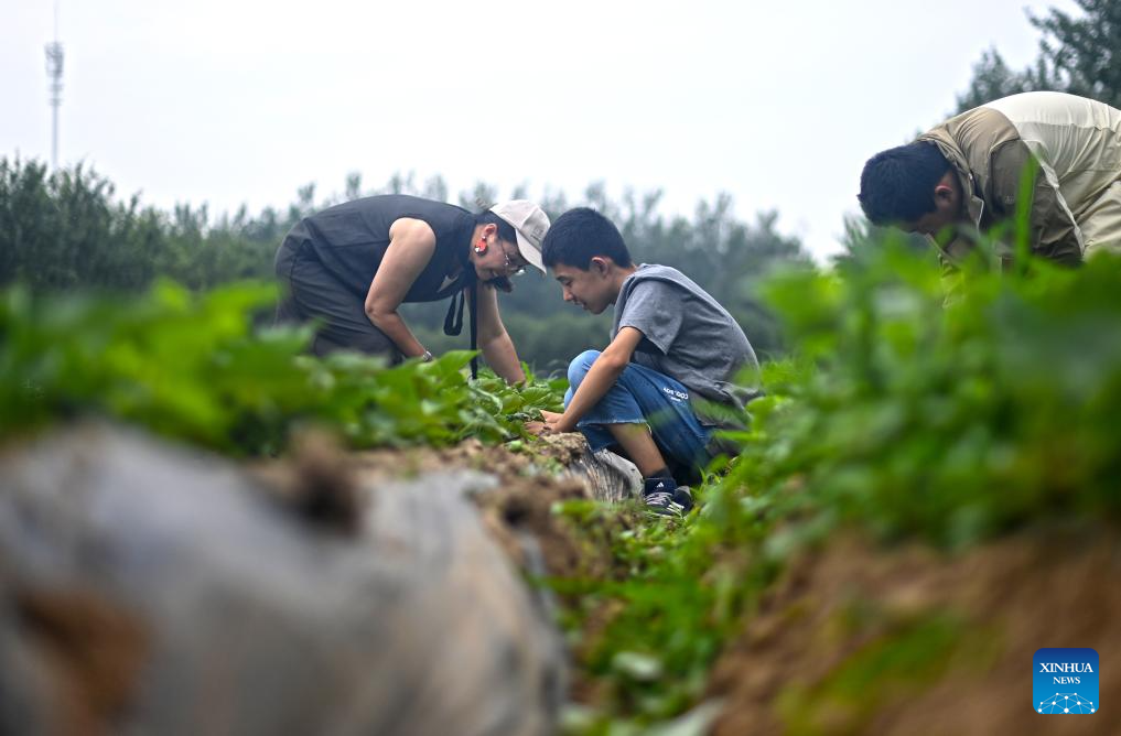 The State Care for Disabled People!