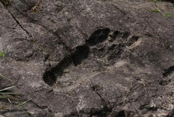 Guizhou Giant's Foot-Print!