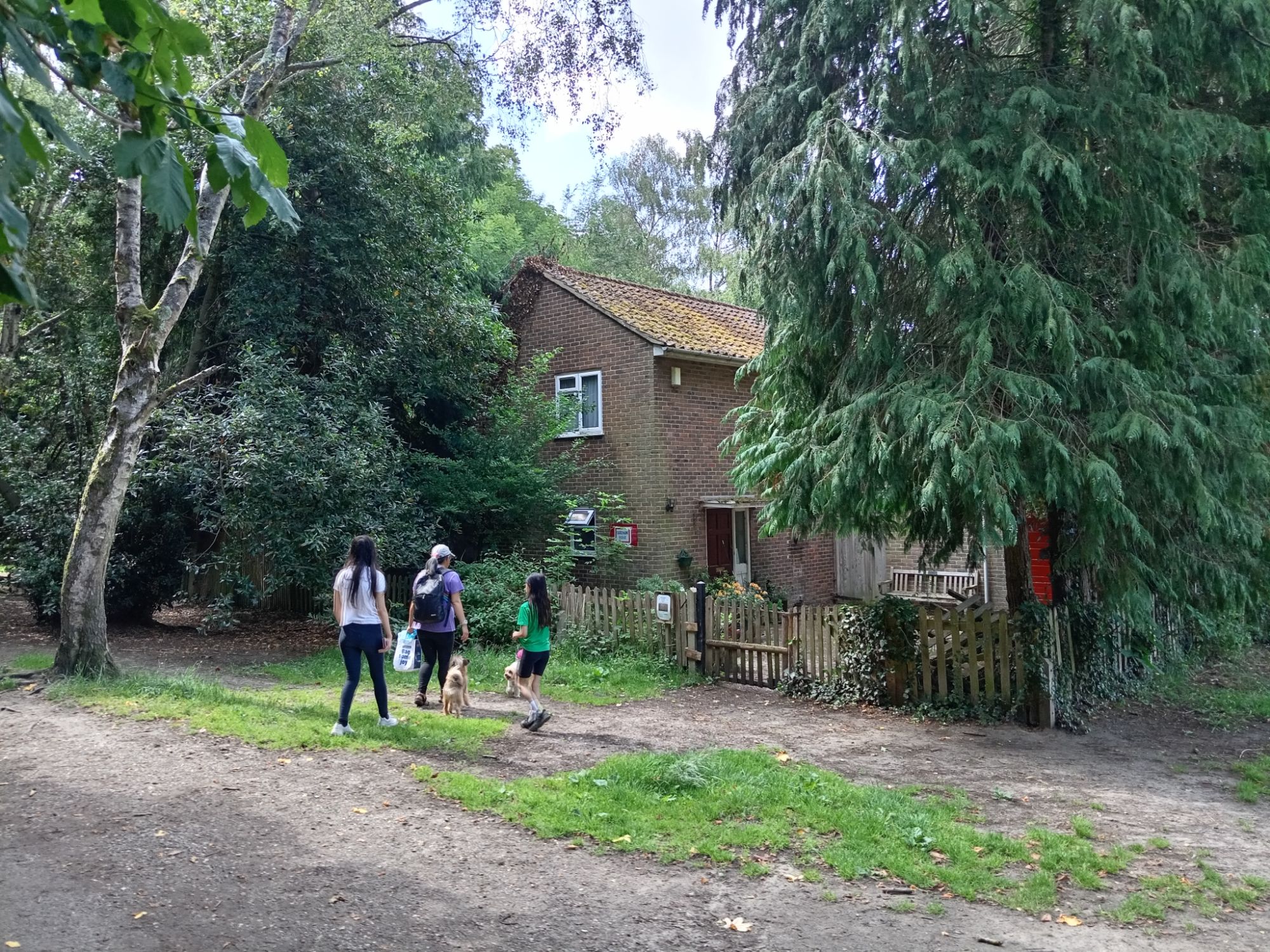 We Would Live Here If We Were Not Trapped in Capitalist Poverty!