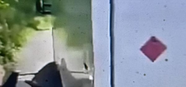 I think It Would Do No Good To Report the Racism in this Video in the Current Climate!