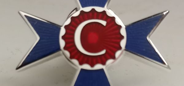 Gee Wyles - Covid Star Medal for Bravery 2020-2021