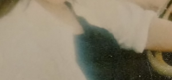 Author Diane Wyles 2023