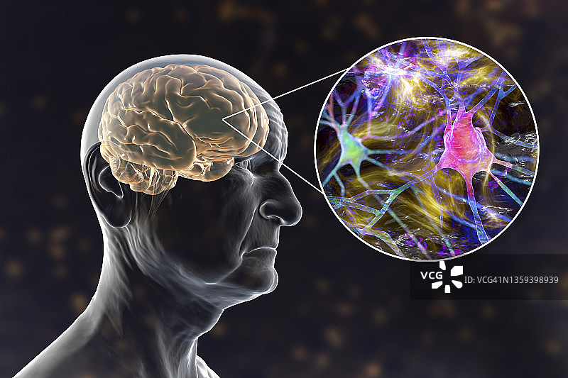 Has Covid-19 Increased Poor Judgement Throughout Society?