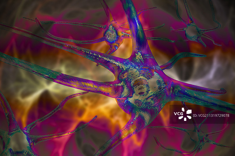 Has Covid-19 Altered the Neurons of the Brain?