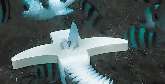 The soft robot is tested in the sea. (CHINA DAILY)