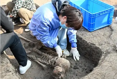 China Possessed Organised Culture 8,000 Years Ago!