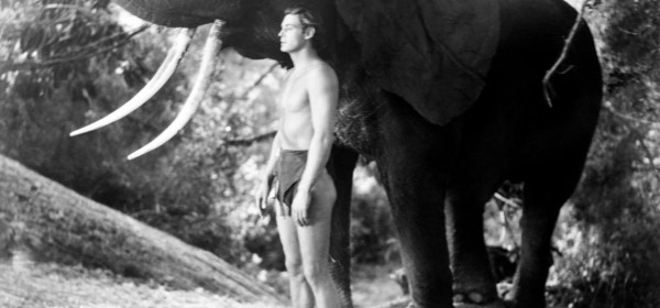 tarzan weissmuller elephant graveyard