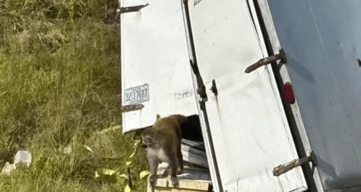 Onsite photo from the Jasper County Sheriff's Department on facebook.