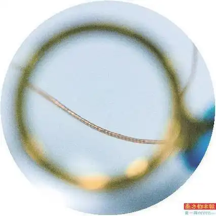 Chinese scientists have devised "NeuroWorm", an intelligent microfiber capable of navigating freely inside the body