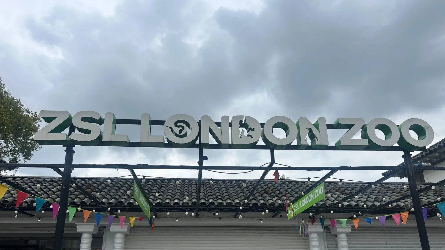 The Zoological Society of London said it financial situation had got "sharply worse" in recent months