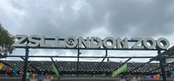 The Zoological Society of London said it financial situation had got "sharply worse" in recent months