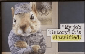 Auditing is Working on the Dole!