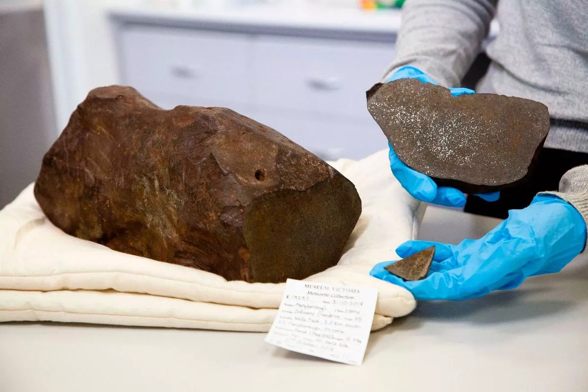 The rock could only be penetrated by a super-hard diamond drill(Source: Museums Victoria / Photographer: Rodney Start)
