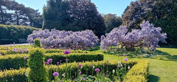 Nonsuch Park is now known for its gardens and landscapes