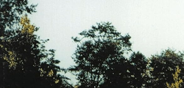 The Worler Trapped in an Inverted Thought Pattern!