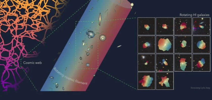 A figure illustrating the rotation of neutral hydrogen (right) in galaxies residing in an extended filament (middle), where the galaxies exhibit a coherent bulk rotational motion tracing the large-scale cosmic web (left). Credit: Lyla Jung