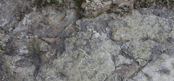 This photo taken on Dec. 5, 2025 shows dinosaur footprints on a rock wall in Dujiangyan City, southwest China's Sichuan Province. (Xinhua)