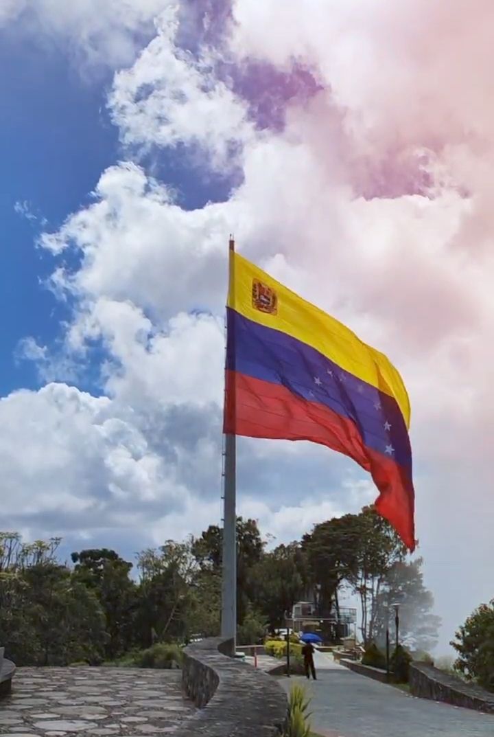 United Socialist Party of Venezuela (PSUV)