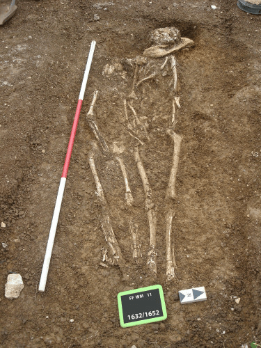 Human skeletal remains in a double burial at the Worth Matravers cemetery.