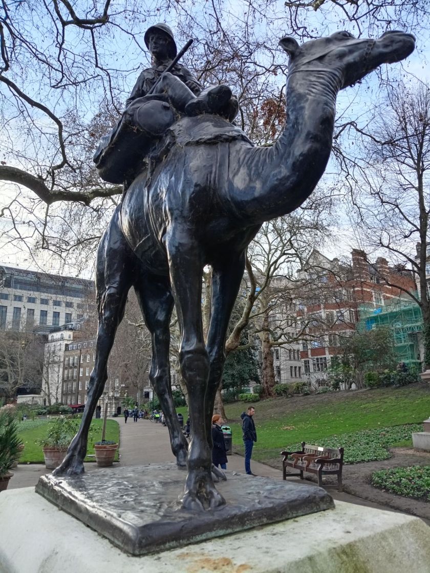 British Soldier - WWI - Mounted on a Military Camel!