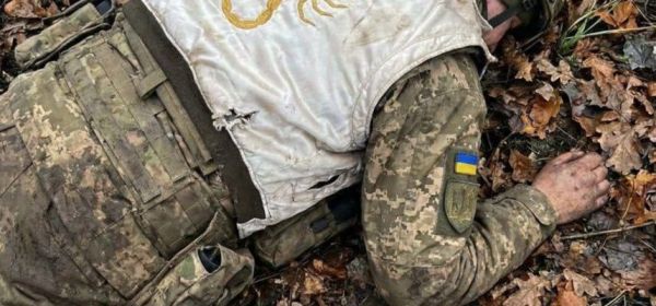 dimitrov (mirnograd) afu dead