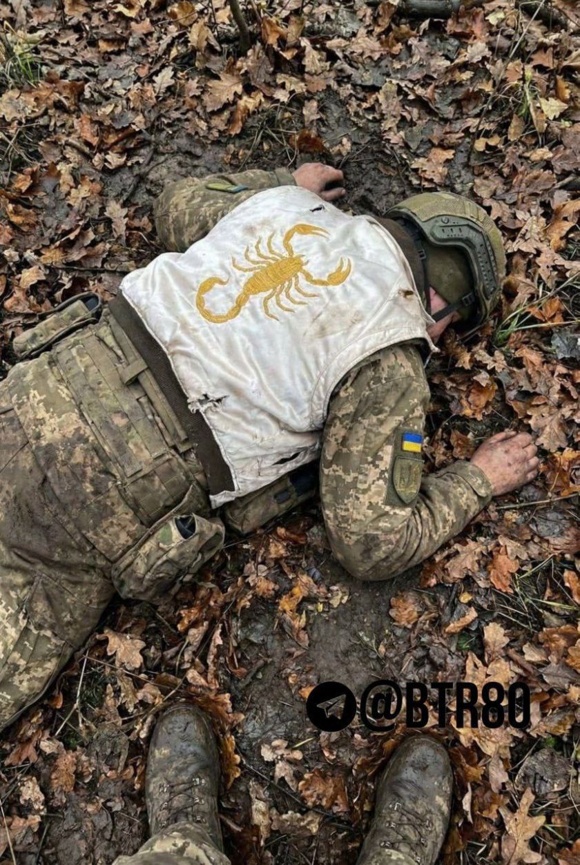 dimitrov (mirnograd) afu dead