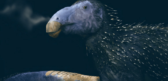 Life reconstruction of a juvenile Haolong dongi. Image credit: Fabio Manucci.