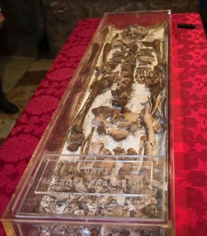 Relics of St Francis On Display!