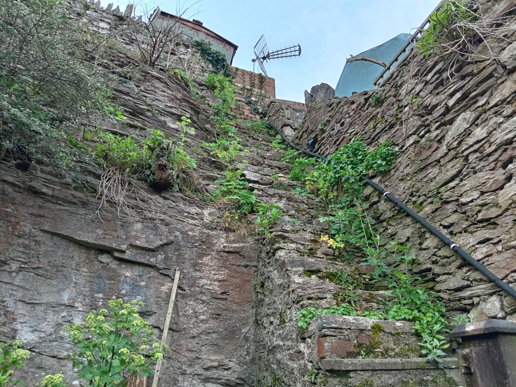 Steps Lead Out of the Quarry - 71a Mount Pleasant Road (Nextdoor)!