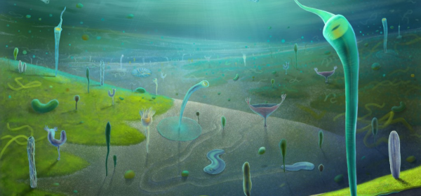 The explosion of complex life may have occurred four million years earlier than previously thought. © Xiaodong Wang