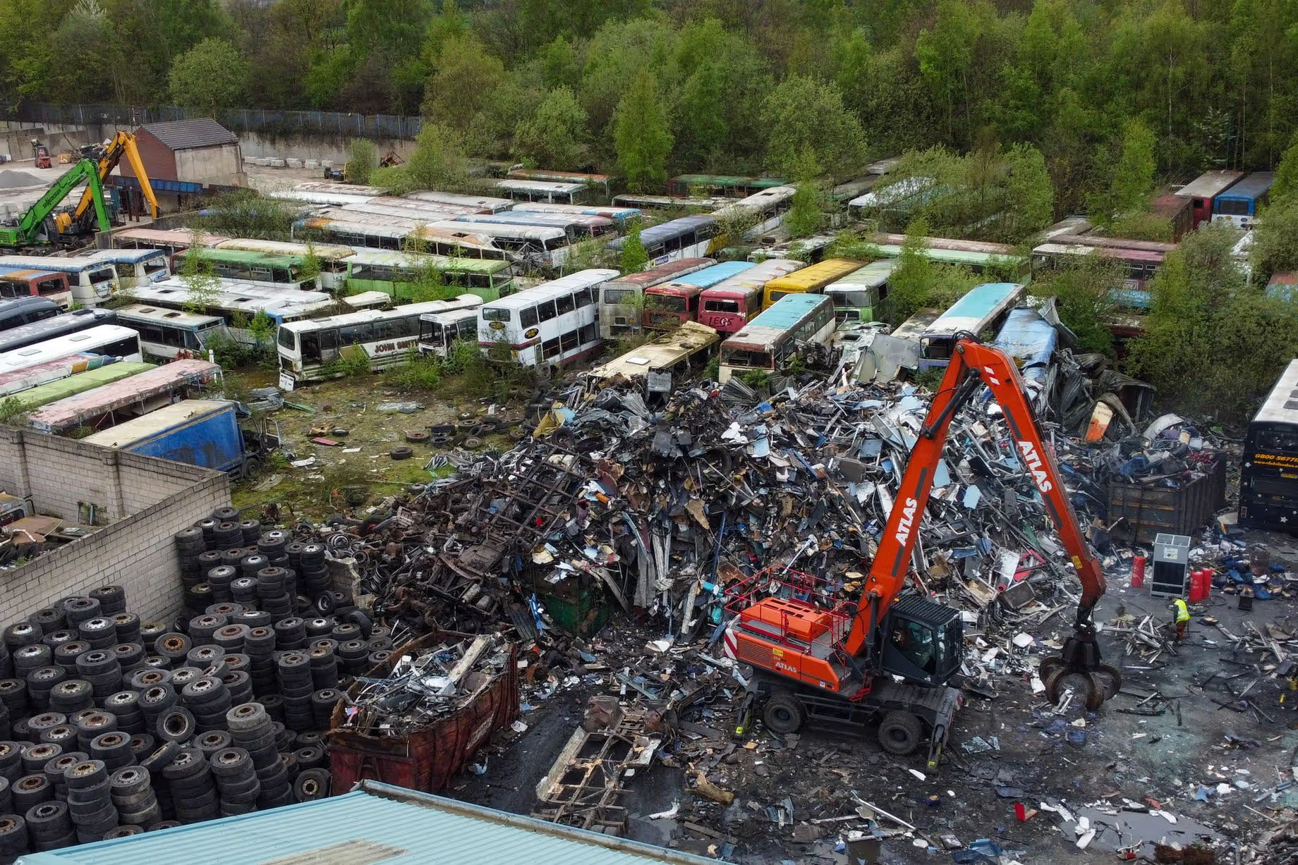 Buses Being Humanely "Put-Down!