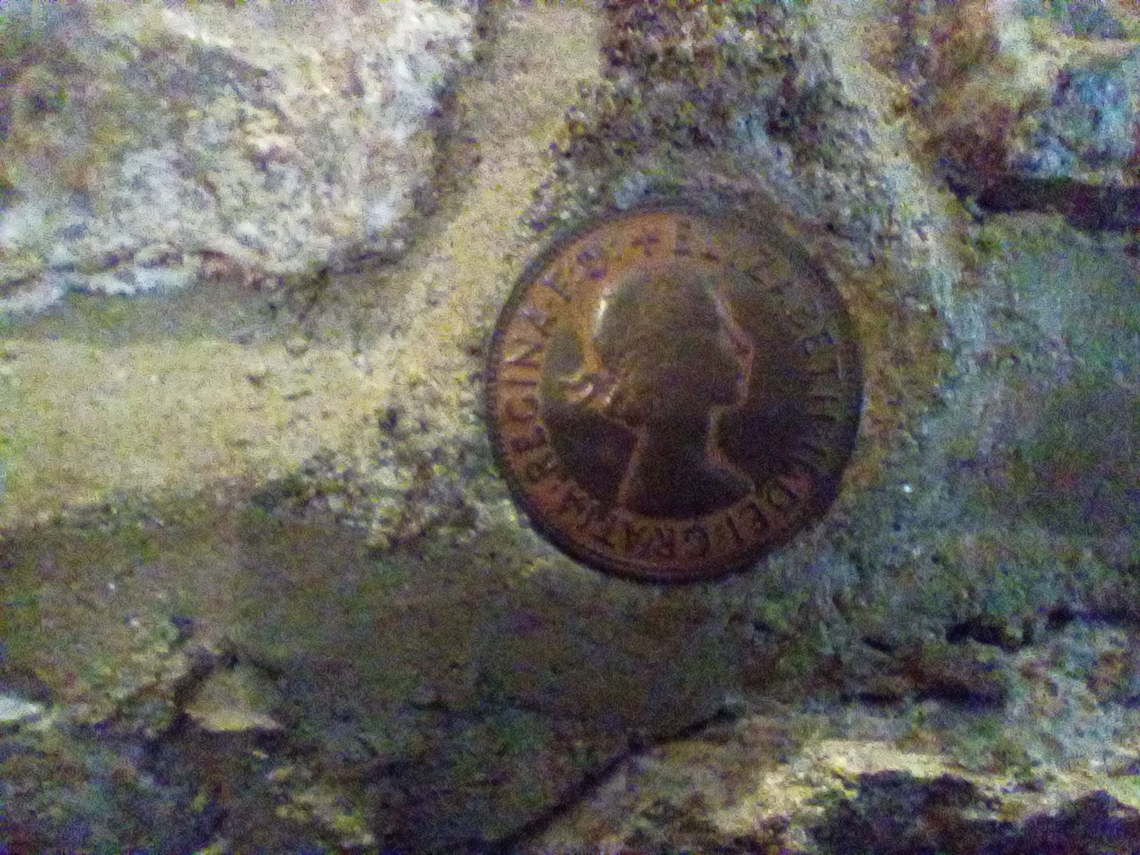 Brixham - 71 Mount Pleasant Road - Coins in Wall!